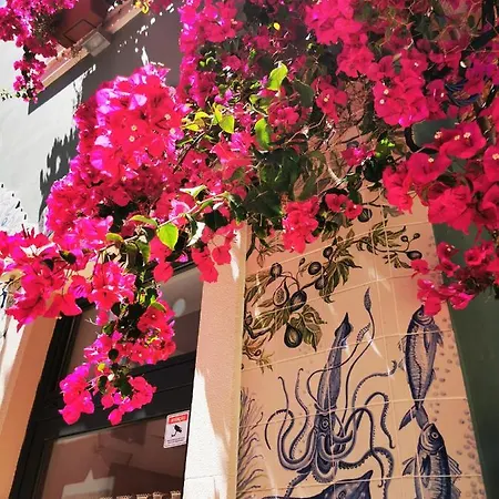 公寓 Charming Portuguese Style Apartment, For Rent 