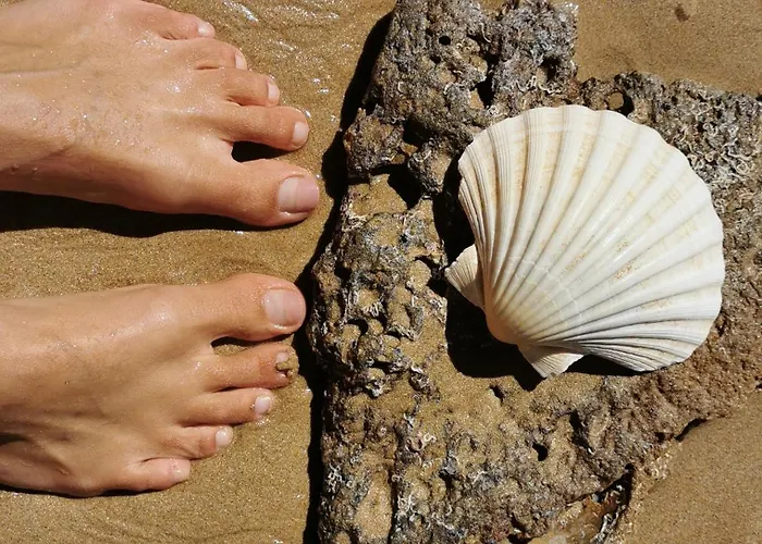 Vida A Portuguesa: Charming Portuguese-style Apartment