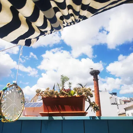 'amendoa Or Limao' Charming Portuguese Style For Rent 'vida A Portuguesa', Local Appartement *