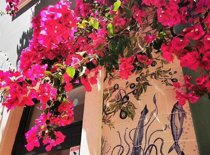 Apartment Vida A Portuguesa: Charming Portuguese-style Portimao