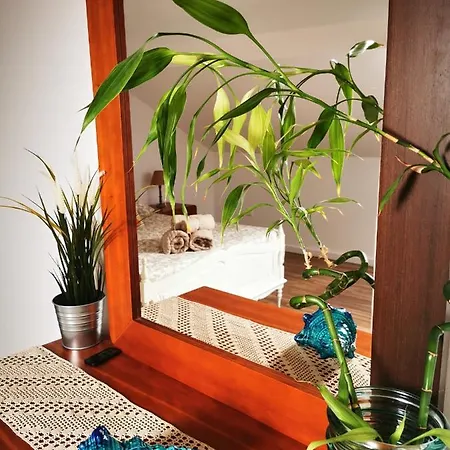 Апартаменты Charming Portuguese Style Apartment, For Rent 